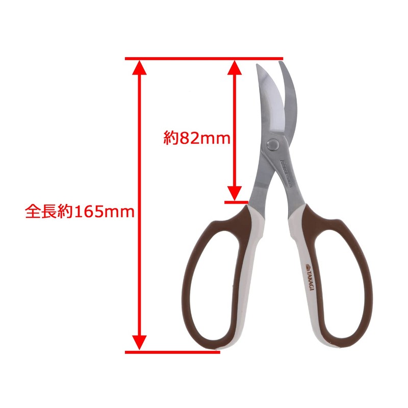 Takagi Stainless Steel Flower Pruning Scissors With Main Blade 6.5