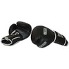 Ring to Cage Economy Deluxe MiM-Foam Sparring Gloves 2.0 -