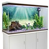 AWERT 60x24 inches Aquarium Background Aquatic Plant Bubble Underwater Ocean