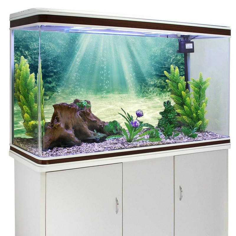 AWERT 60x24 inches Aquarium Background Aquatic Plant Bubble Underwater Ocean