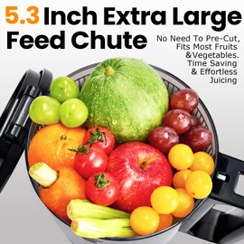 Cold Press Juicer,Slow Masticating Juicer Machines with 5.3" Large Feed Chute for Most Fruits and Vegetables,Easy to Clean Lemon Orange Juicer with 250W Motor and High Juice Yield (Obsidian black)