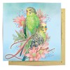 La La Land Greeting Card Budgerigars