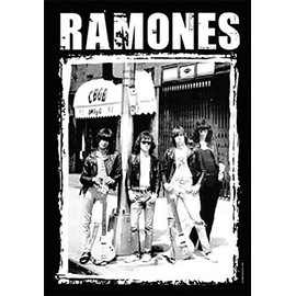 Flagline Ramones - CBGB Textile Poster