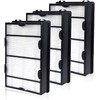 HAPF600 True HEPA Filter Compatiable with Holmes B Filter -
