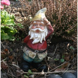 Traditonal Quizzical Gnome Garden decoration, garden gnome …