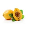 Chandelier Craft & Gardening Loquat Seeds Japanese Chinese Plum Eriobotrya