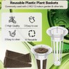 inbloom Herb Seed Pods Kit for AeroGarden, 7-Pods with Basil,
