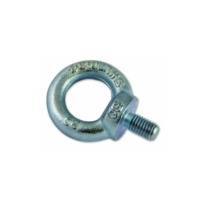 Chapuis 900/16Z Lifting Ring Male Steel C15-M16, Grey