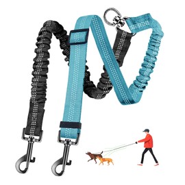 LEOSASA Double Dog Leash - 360°Swivel Tangle Free Splitter Attachment, 2 Dogs Multi-Functional Leashes, Dual Rope for Outdoor Walk Train Small Medium Large Two Pet (Black, Lake Blue)