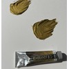 Talens Japan T0182-050-1 Rembrandt Limited Edition Gold Oil Paint, 1.4