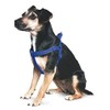 Ancol Padded Nylon Dog Harness Blue XL 88-120cm