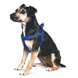 Ancol Padded Nylon Dog Harness Blue XL 88-120cm