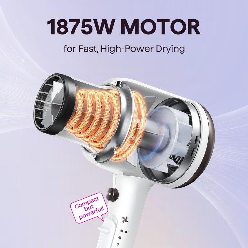 Wavytalk Hair Dryer, Blown Away Ionic Hair Dryer for Curly