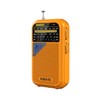 XHDATA D221 NOAA Weather Radio Portable AM FM Shortwave Radio