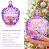 kanpura Large Glass Candy Jar with Lid, Cookie Jar Food