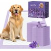 MIZOK Dog Pee Pads 30x36in, Pee Pads for Dogs XL