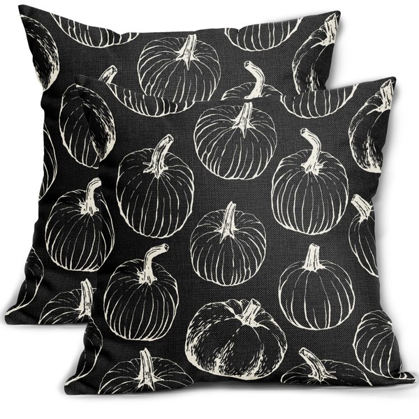 Aytipun Black Fall Pumpkin Pillow Covers 18x18 Set of 2