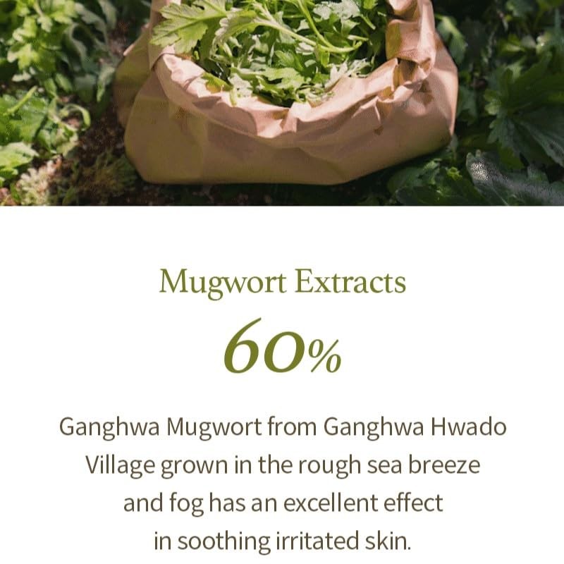 I'm From [I'm From]Mugwort Gel Cleanser 150ml