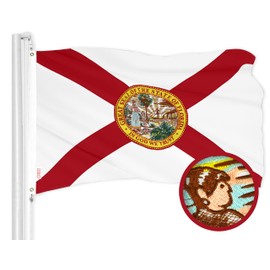 G128 Combo Pack: American USA Flag 2x3 Ft & Florida FL State Flag 2x3 Ft | Both ToughWeave Series Embroidered 210D Polyester, Embroidered Design, Indoor/Outdoor, Vibrant Colors, Brass Grommets