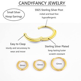 925 Silver Earrings 8mm Sterling Silver Gold Plated Cartilage Tragus Helix Conch Cartalidge Hinged Huggie Hoops Earrings Piercings