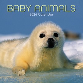 TGSC | Baby Animals 2026 Calendar 16 Month (Sept 2025-Dec 2026) Family Square Wall Calendar 2026 UK | Planner with Large Grid for Home or Office Organisation - Animals 2026/2025 Calendar UK
