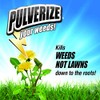 Weed Killer for Lawns Ready to Use