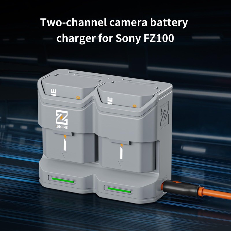 ZGCINE PC2-FZ100 2-Slot NP-FZ100 PD Battery Charger Case