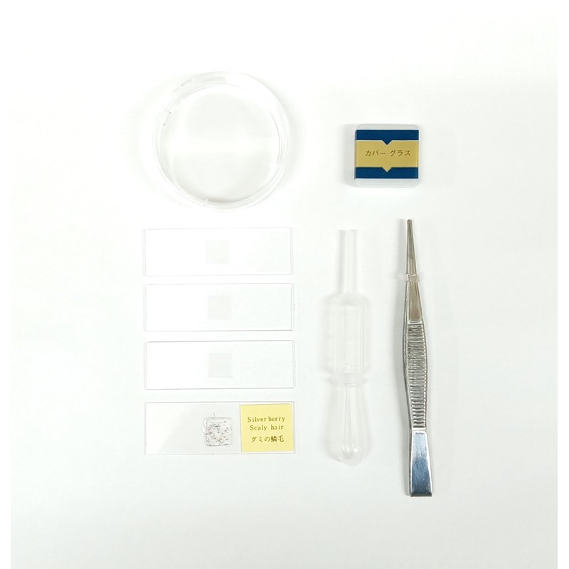 SO80114 Standard Microscope Set, 40x - 750x, For Learning, Microscope,