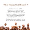 mCaffeine Naked and Raw Coffee Moisturizer - 48-Hour Face Cream