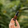 Pai Skincare - Phytofill 1 Reafirmante Reafirmante Cuidad