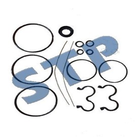 RAParts HYP-F-600BBC-SE Seal Kit for F-698600-BBC Sonic Hydraulic Pump