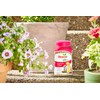 Osmocote Smart-Release Plant Food Plus Outdoor & Indoor, 1 lb.
