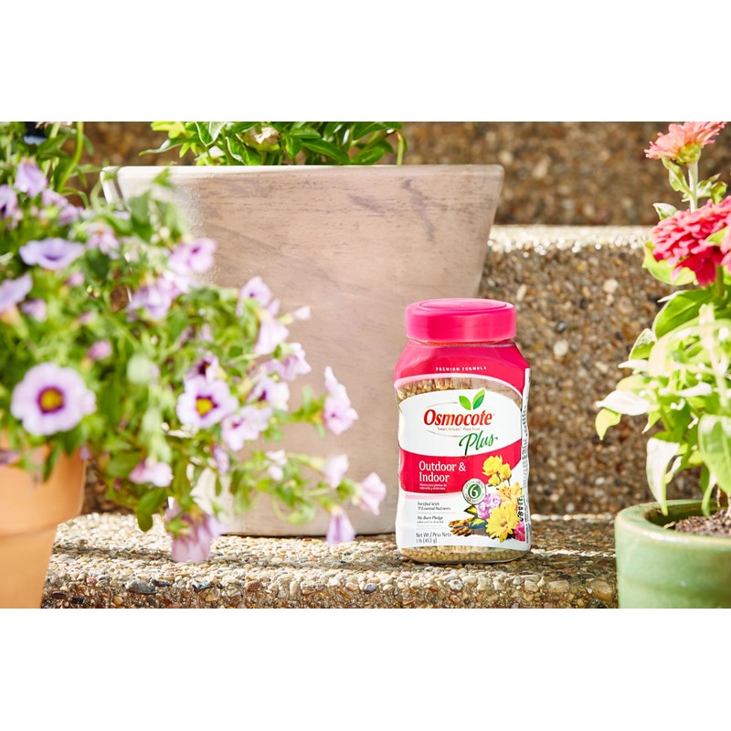 Osmocote Smart-Release Plant Food Plus Outdoor & Indoor, 1 lb.
