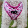 AllPetSolutions Dog Harness - Cool Pet Vest with Back D-Ring