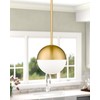 LMS Modern Pendant Lighting Gold Globe Pendant Light Fixture, Mid