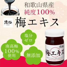 Sumami Plum Meat Extract, Additive-Free (100% Kishu Plum, Kneaded 3.4 oz (95 g)