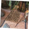 Garneck Cork Bark Back Panel for Terrarium, 30 x 20
