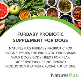 NaturesPlus FurBaby Probiotic for Dogs - 9.5 oz - Supports Digestive, Heart, Liver & Immune Health - 60 Servings