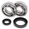 All Balls 24-1030 Crank Bearing and Seal Kit