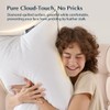 Pacific Coast Goose Feather and Down Bed Pillows Standard Size