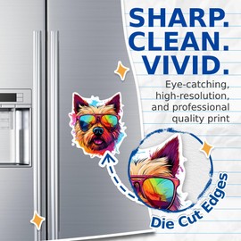 (2 Pack) Norwich Terrier Dog Magnets - Norwich Terrier with Sunglasses - Choose FromOver 100 Dog Breeds - 5" On Longest Side - Premium Magnet - Made in USA - MAG0375