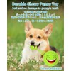 KrauzPet Dog Toys Squeaky, [10 Pack] Soft Puppy Egg Balls,