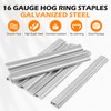 KIMSING SC760 16 Gauge 5/8'' Crown Galvanized C Ring Staples