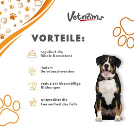 Vetnoms Probiotika Hund als Pulver - Präbiotika Hund mit Bierhefe Hund. Darmkur Hund Hilft bei Durchfall Hund und Juckreiz Hund, Allergien und Sodbrennen Hund.