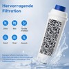 Finsna Water Filter Replacement for De'Longhi DLSC002, Compatible with Magnifica