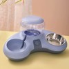 Double Cat Bowls Pet Food and Water Bowl Set Tilted