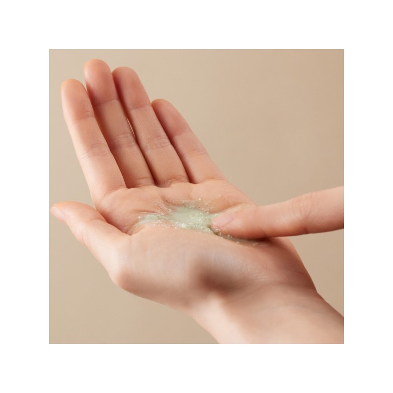 Freju Natural Mugwort Enzyme Cleansing Pack 80g / 프레쥬 자연약쑥