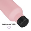 Insulated Water Bottle with Straw,17 OZ Double Wall Vacuum Stainless