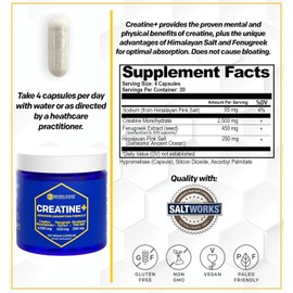 Creatine Monohydrate - 2500mg Creatine Pills - 450mg Fenugreek Extract & 250mg Himalayan Pink Salt - Supports Brain Health, Endurance & Muscle Building - Advanced Absorption Formula - 120 Capsules