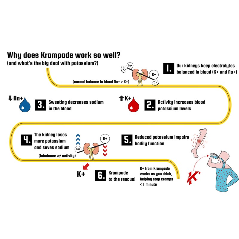 Krampade Original 2K - 2000mg High Potassium Cramp Relief Electrolyte